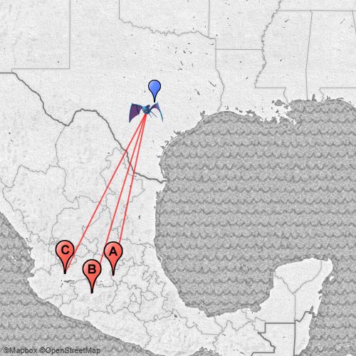 Mexican Freetailed Bat Migration Map Scribble Maps