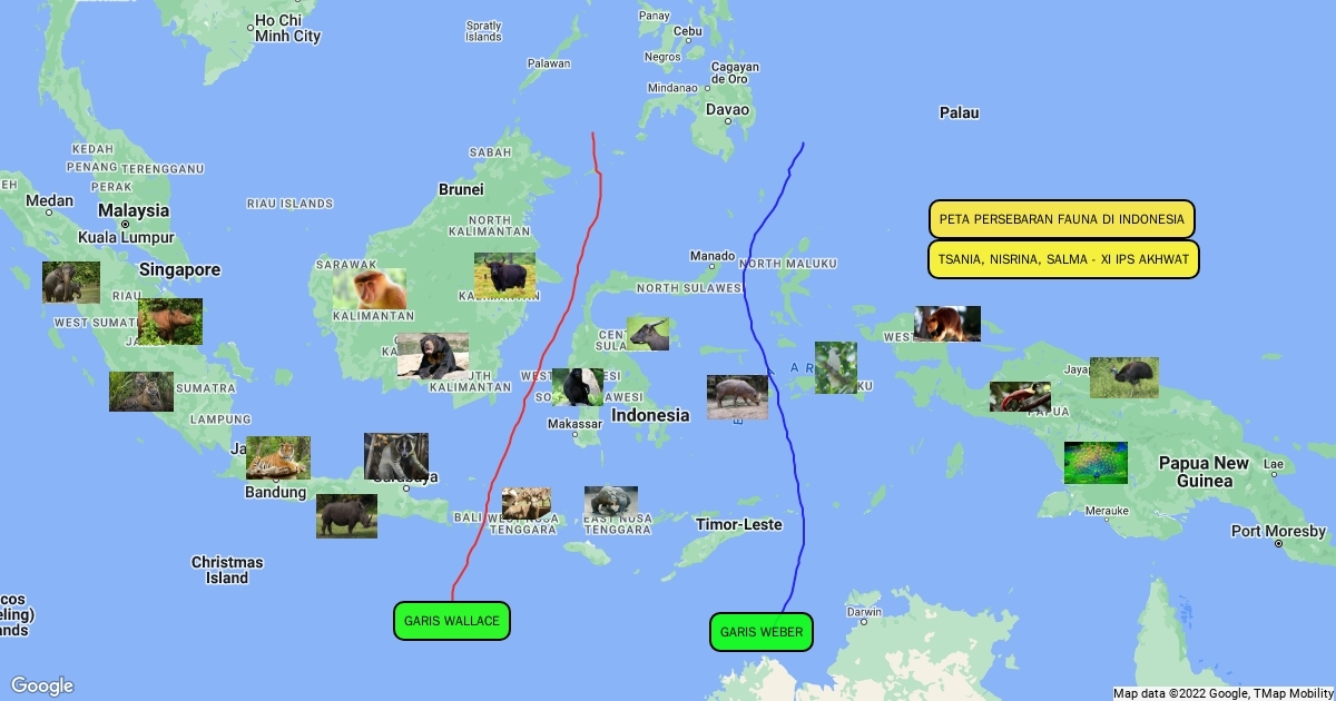 PETA PERSEBARAN FAUNA DI INDONESIA Scribble Maps