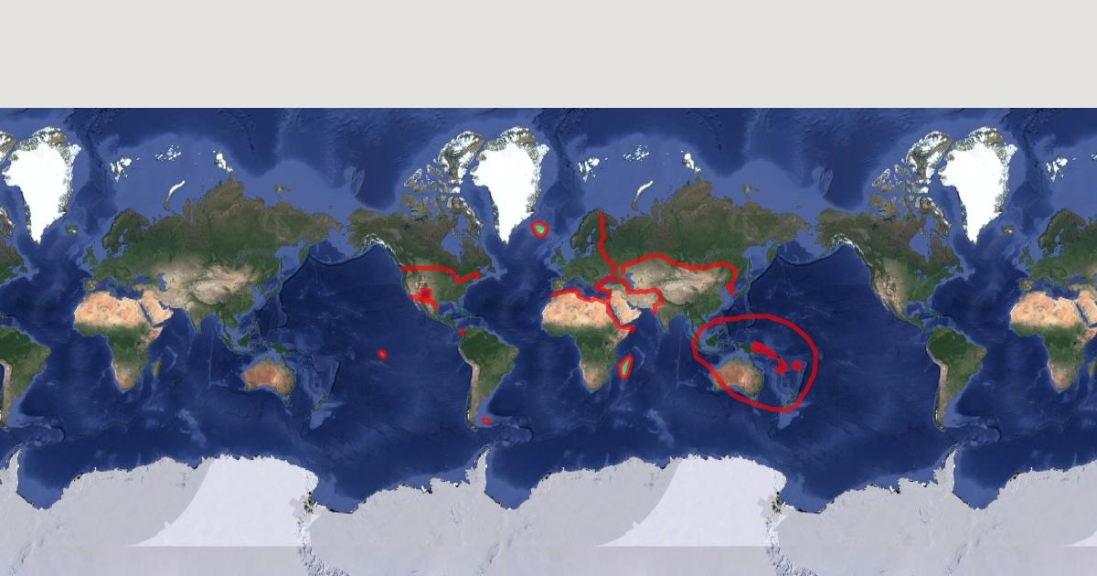 Brave New World: Crowdsourcing Maps